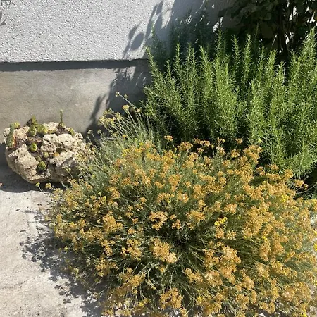 Guest house Malin Skradin