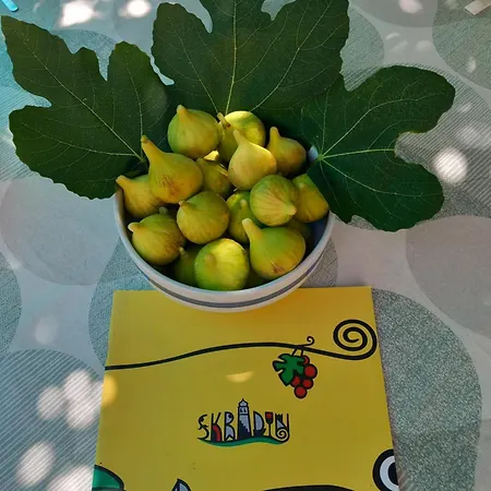 Malin Gasthof Skradin