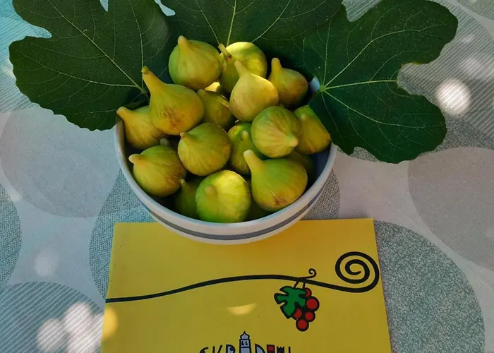 Malin Gasthuis Skradin